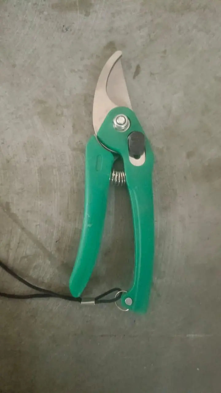 6 in 1 Garden Tools with Box - Gadgetbro