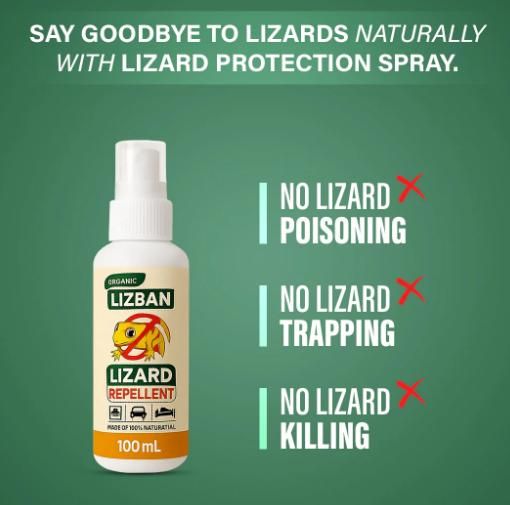Lizard Repellent Spray 100Ml (Pack of 3) - Gadgetbro
