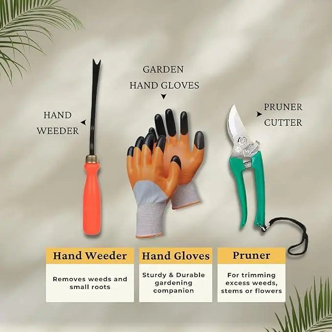 6 in 1 Garden Tools with Box - Gadgetbro